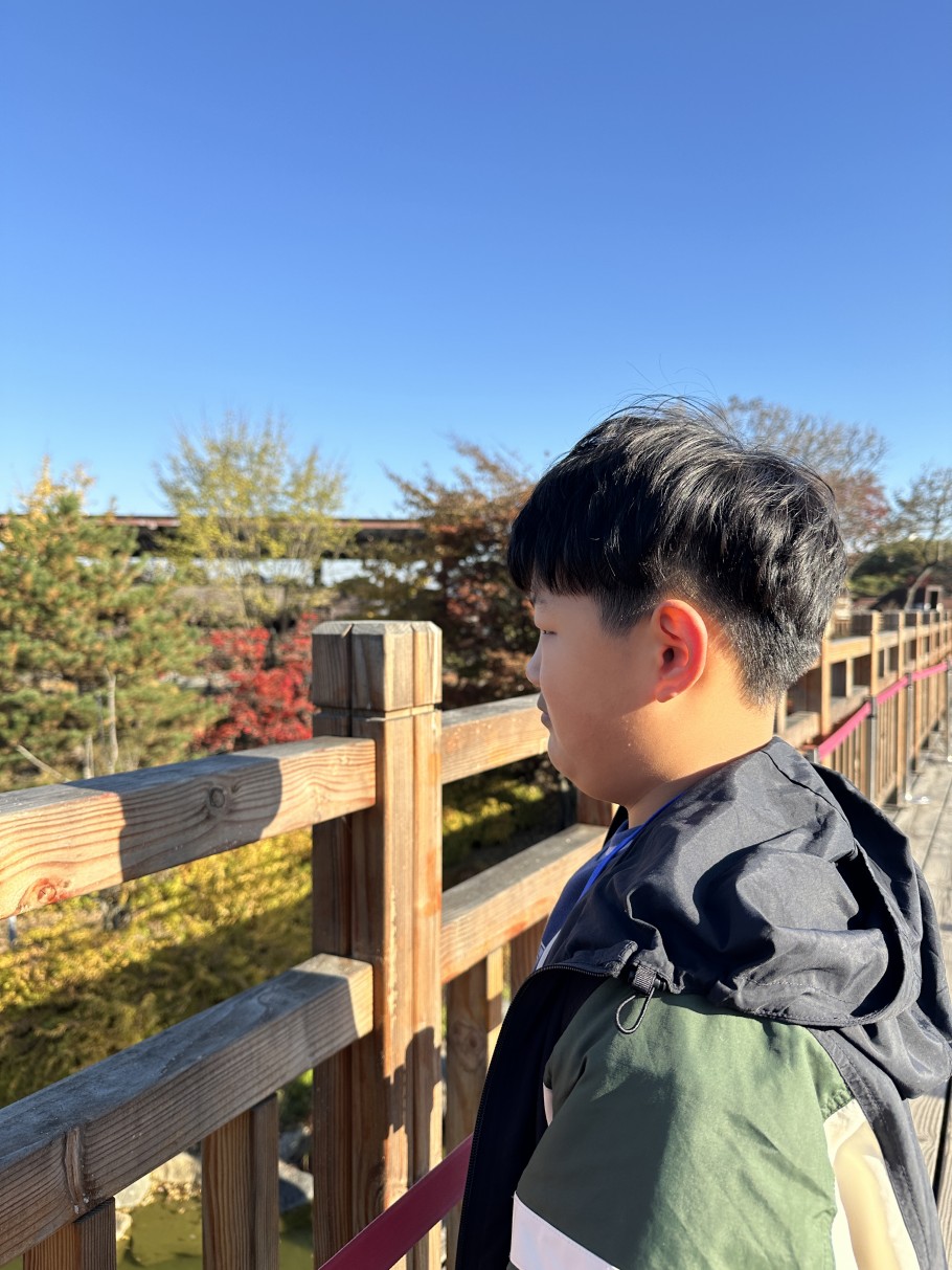 6233504c3a96de3528d7b990c74f421e_1763365