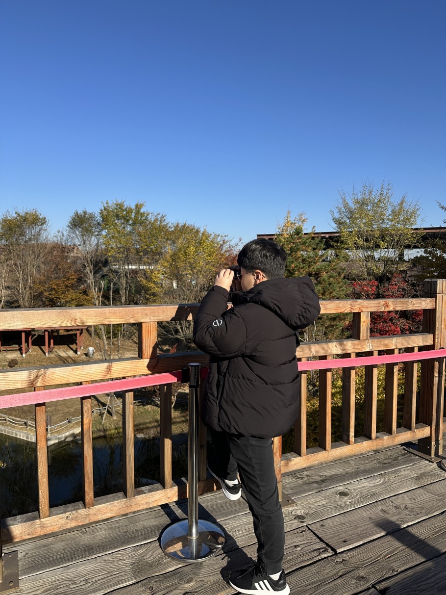 6233504c3a96de3528d7b990c74f421e_1763365