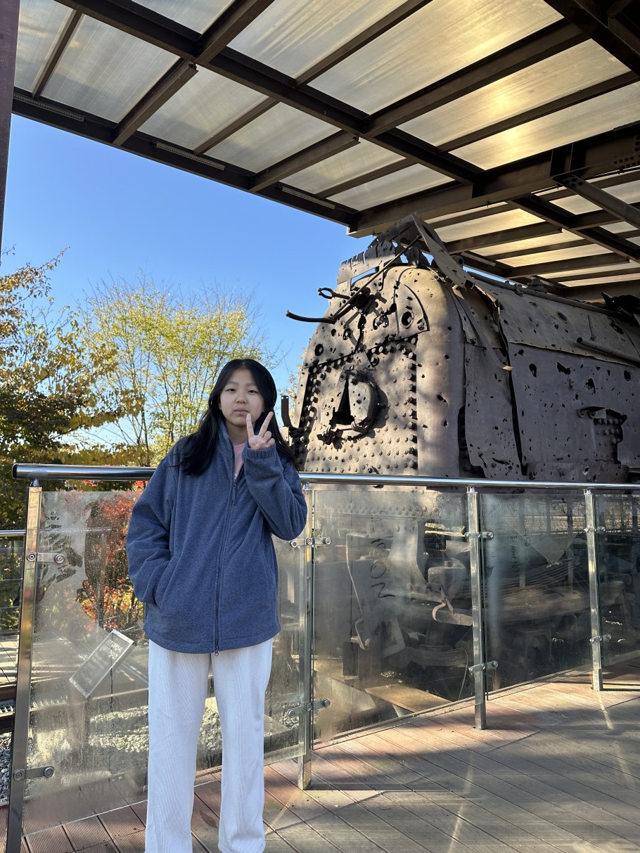 6233504c3a96de3528d7b990c74f421e_1763365